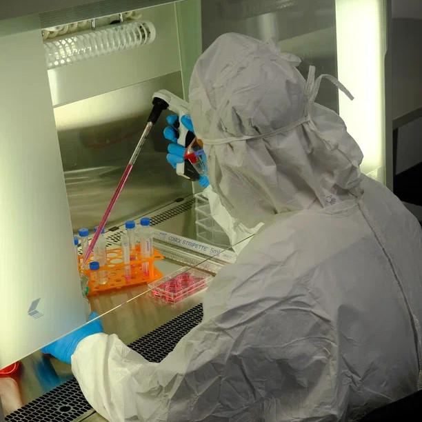 Тканевая инженерия