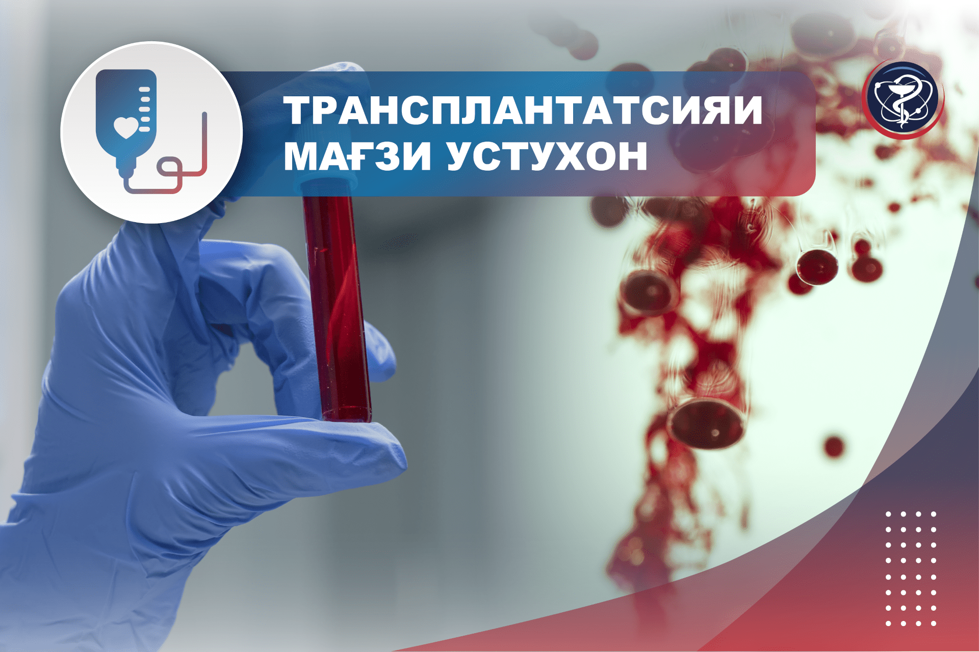 Трансплантатсияи мағзи устухон