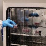 l9rtzfrtvp3za1dl9yhyfydillvtxmdxa kagj4rr9nyflpn1g 6fvn1feaoyqknwsg chxb f0x59hix6cjpsog