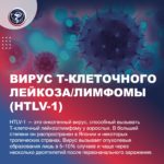 xsds1cj9ehkdgzws7os8tsolmsxg8fxapgqrnufblurzues164xcpgek8yagip5la3jnoauit5hscqxjqt5sfsyt