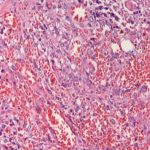 4iuaztx vy7okbc97fsx5aoxpuxc6kruigqegvwb7moinkmcj7hff6vvhrr zkd4ylg3tcc1isratz k1 s4khuh