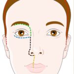 4hgimz8bxvkirhg19vcmt7rwjxvcml6ccam br6lysv8ltgbeiuecvq4iyiqkqxaketqhl1cvcykrrxeb5qpmhhf