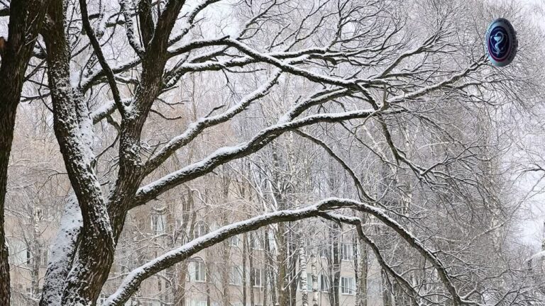 zdorove luchshij podarok na novyj god