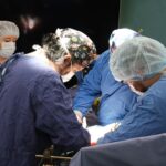 szcikraqecziukkz6v2u7erdch97n3lj2 nguwvoddgaxpvredojr69l7lkjgmim8ot43db6qtphad s jamtat6