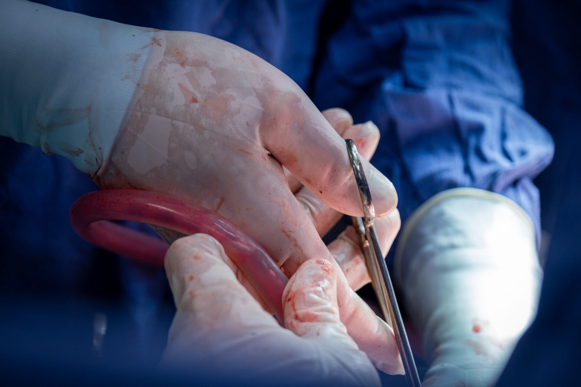 2v928dlyts7j vwmyepeal1wgooprjd4ocqmw3 947uw0rjbt5g1bplk s d0hry275 vrsperedevgyvjigtdma