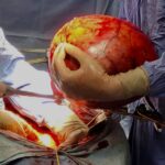 p whmwflyecjq2cquj1pxt1m9bjogowrxpiqli fdcmul7zbhfhw 7e66pgltwddohbsmmhl7plkqw2vkieclwi