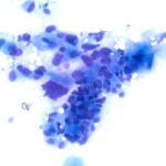 vfppnjd2jifh6gv95tr0fnun rqssw9 lx5zqcyl6ad0oedupsgj5wxjsiath9n5wbdesdo8kprg5pzym5dk4e5c