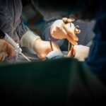 lsyqico5lki73lkegkjv6gz6vrsce4aitcvjcrhtc0rvcnun phtppooc5x yrsflwoc6d78fzsfo4kwomhmpjb