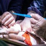 zze7jugh2abdicul6odz1sav98t6amqrqhmsctphhwq1p9tzymjsz5yp2vqctswrp662c0sb9gv dhl7rhze2km