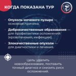 4t8b667kqipegdun21ohgdyt2hsmvj9scnas2lugzmugcyxv afjbiug9wcx9vsryzxh1p7 mbjft7ikzllpt5rw