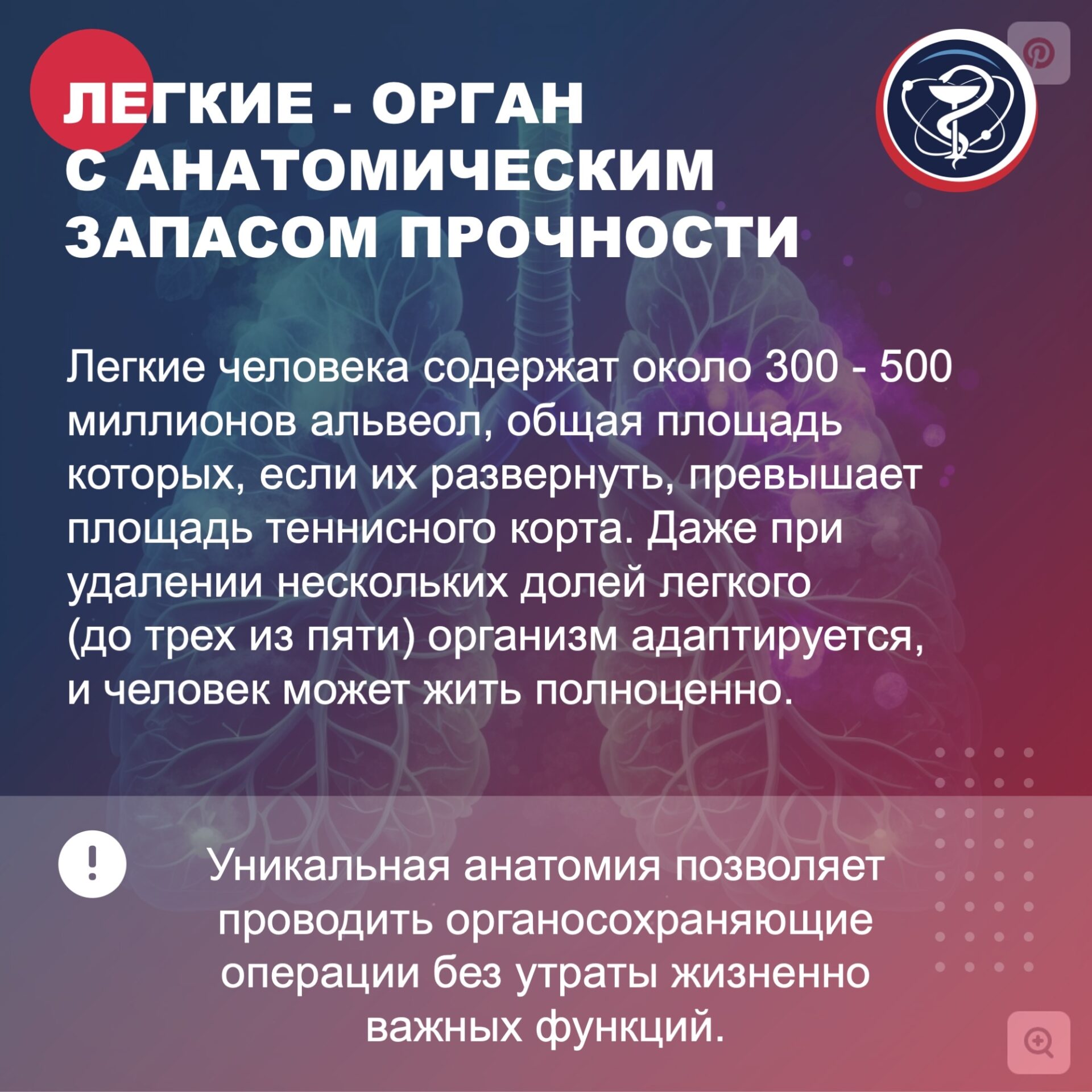 gbgwdc5v4ukz gokqz1djcfszcd2vlrdazbx1iktwbjzgwqduhprwthrmw01axnjtel6qkwskek0epn lnuncc6h