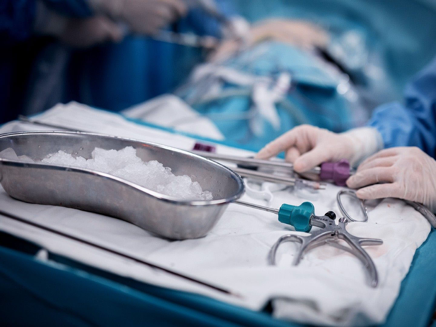 трансплантация пересадка почки НИИ урологии (КОПИЯ)