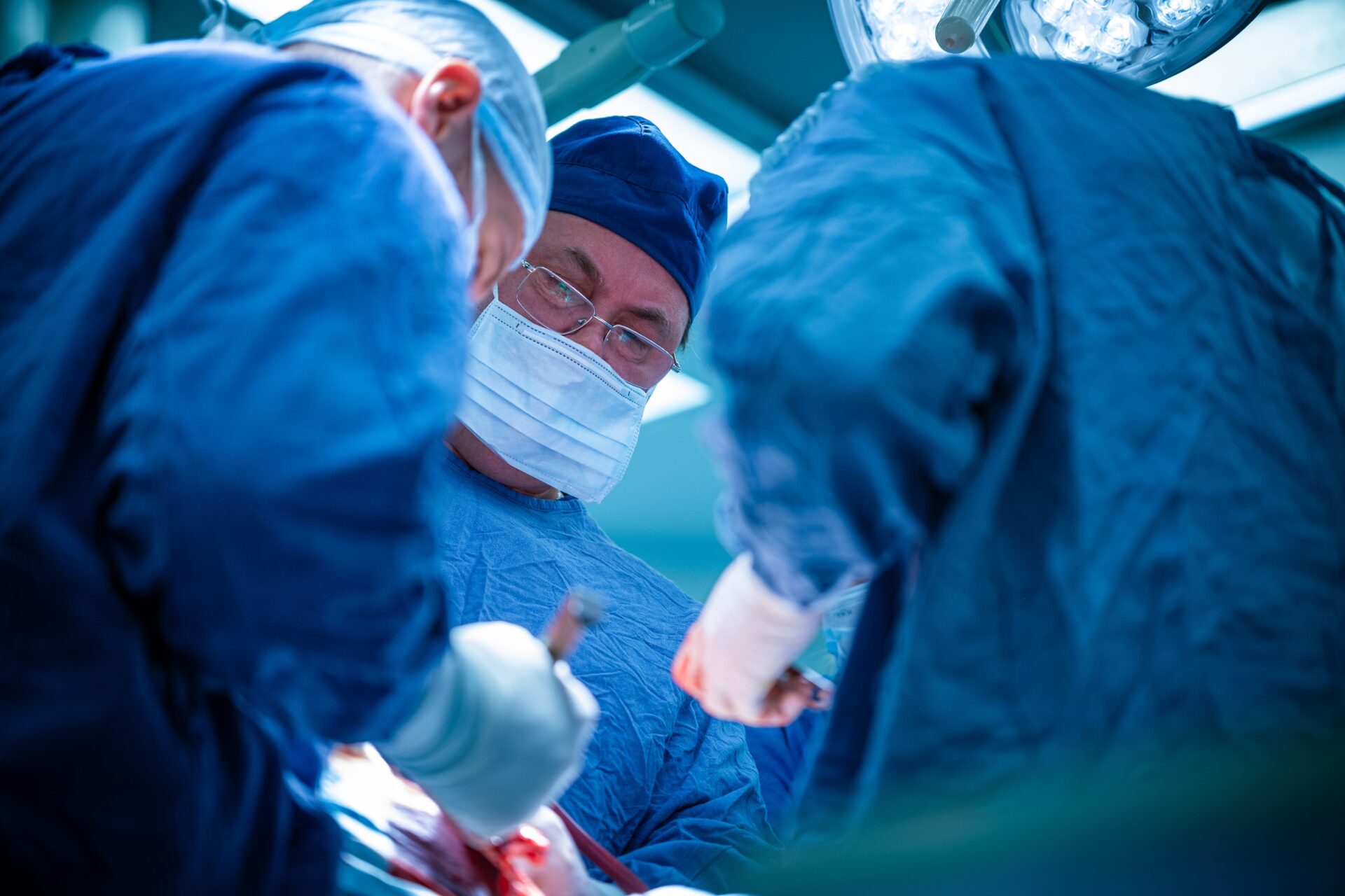 kda1apufcp1zj7s0xaspxgvfsa8fxuivh h ds6cik 8rd zu25gwwr sddzlitfaw0ef xkijc6bz0f3xax80ha