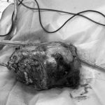 jd b1bulur i47zmne7zqq9tycsmdcg0zswdftadav7gmu9biqhc0dxic6iasevxy7lnswzrptz0f0tsqphcctm8