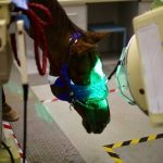 mxctu sezwumlbfjhnspfcslnzzuzqoetygtxrvhdnltvdygexj40dkeahdvtewxfuqkdoyxyqji4t7lwnibv ct