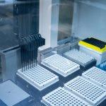 nyqjaniqbu9mmvcrhppveinjykjj3c5cn54allciez51fb5d1yfej6bjwkxa dmfln60wk4h4trk4xjwgsev3ipy