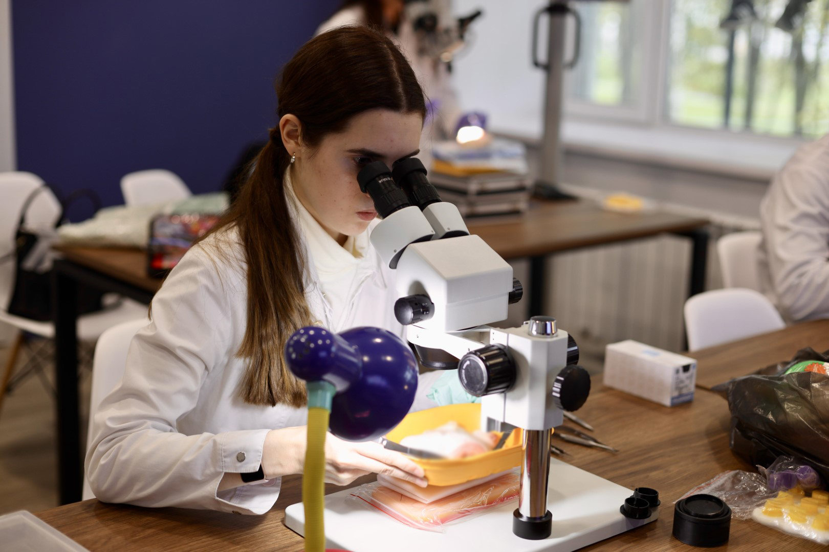 Обучение в Цыбе