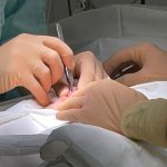 ocds p737jrkomtiuj15owb5rgtlo0sneelsqkvcdimnhx k284e8ha9eytgtzkzrzht0skrkxa0db1us3svlqpb