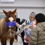 z6f1fqrpipfomms4e4k5v6vooxd3ssk66dnnucttgz37atorekhjd4xb8aywbhchdlmbbfewwg9ikr sfjul0w6s