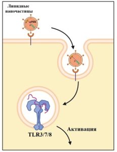 16. механизм часть1