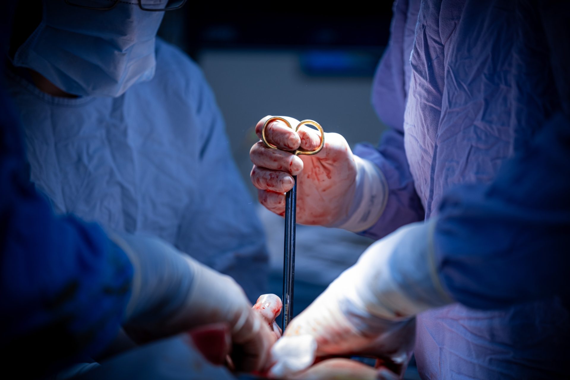 hg75uhqbnhstjchwp6fjo7xsxjn4w4okrcev9aqchsxkuij6rb68eqrxssixi48eqbltxdmkwxazkqxiupgytquw