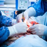 lzuuwhj7maasllvwj3sheicavj4isyybvcao6vkhohu70yuiac 7ak09owkwji0bvoe5st58qbkhrwwa0ggdvmup