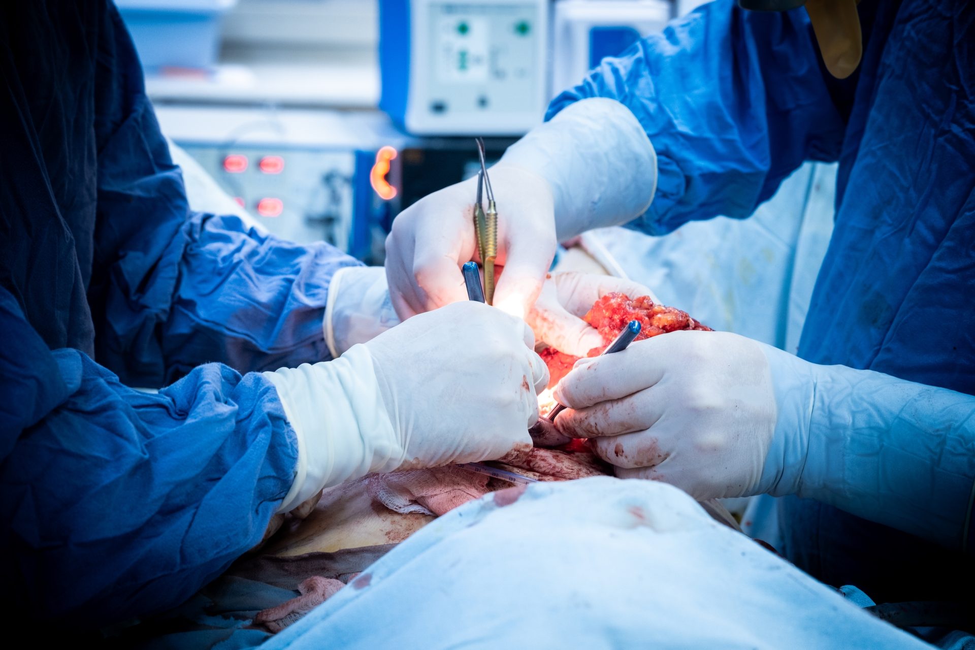 lzuuwhj7maasllvwj3sheicavj4isyybvcao6vkhohu70yuiac 7ak09owkwji0bvoe5st58qbkhrwwa0ggdvmup