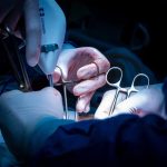 rmjusldbmhpjfklqljor7or5mggp51yow7i1h3l4eerdab6j6ieg rrx5rl 1d6st2dral5ndlzg9hz4ufdnulbo