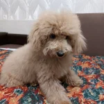 59xsfzy2rgtzhiptoy0qwhb8l 4bxmd6x1lhsd9aczj039dbqfra0b68tdhdehpqy4lrsafc9xxg6nwsuupsxtfv