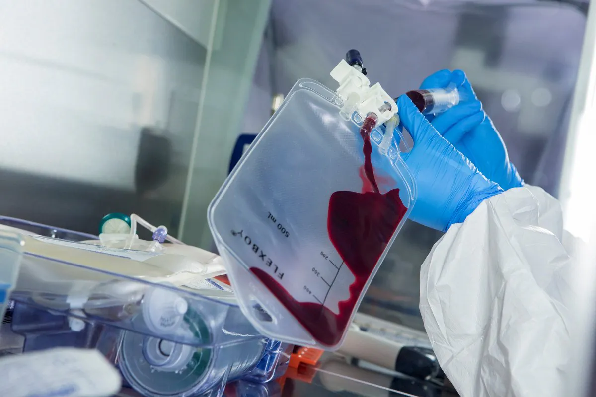 Сбор крови у пациентов перед CAR T