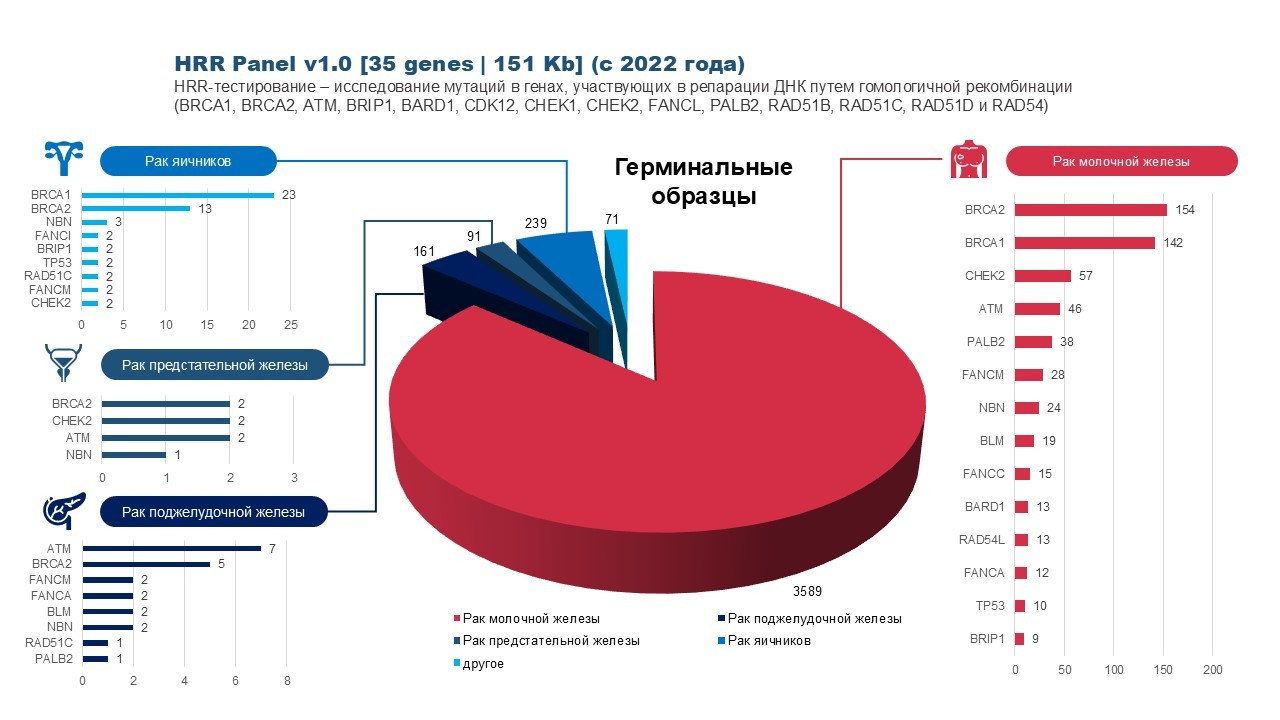 Конференция_UPD_статистики_111125_LA_1
