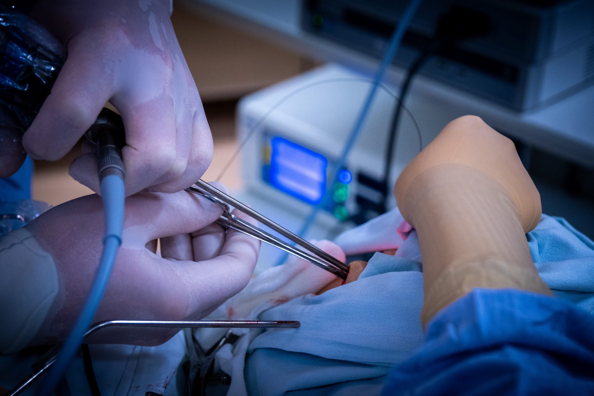 87okys0aocw1je5uiulobambwtzj01utkp1wmwgesjmam7hpn1uyvv1bjdvzc70 ekxvrtkj7915z6nvuw8npi5n