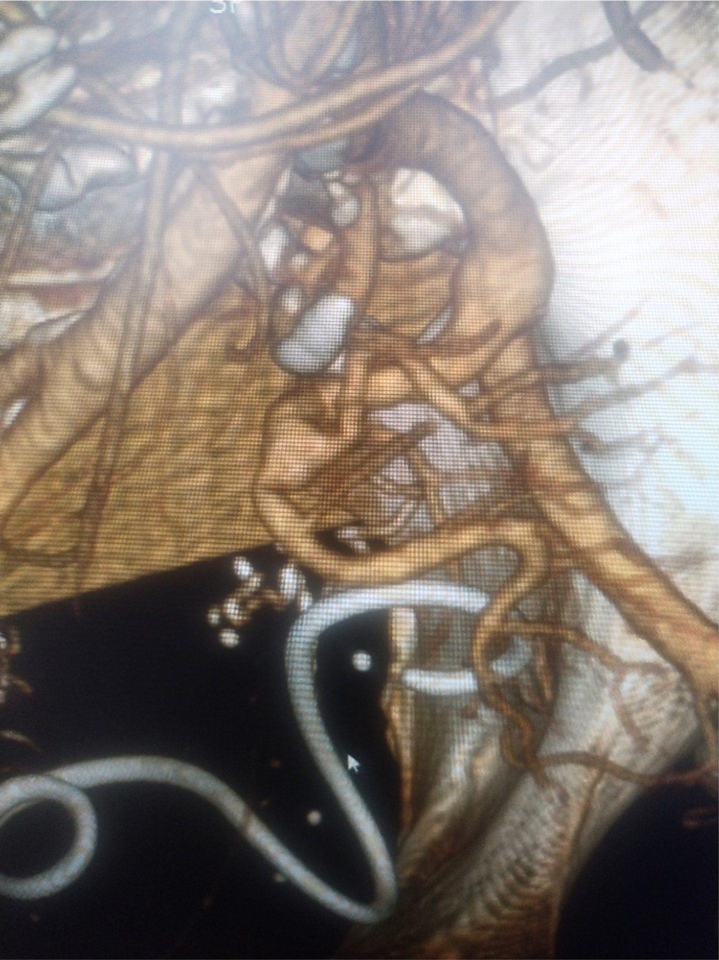 b0shvhkz3geenit30qf8c8zbx484prfihcs0 bopefb6mfvnibiuzpf5izanzdasmcbqw 4ps6d6vvzkqawxz5aa