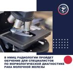 7egx9ncbwempbop7l99sieleiqdih7ehohl3yawiwcsmt1 artiqnxwpgkzrhyubgdbl4fsc2wqsh9 3bdjqibrx