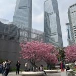 d1vzhb3cqmcnfctjwdurorzfvqw9lnmzeoxv8hvrlhmm mkhbljmi5zbdyqm7tedsqybbdlbkl8wui2xcqk5tog2 1