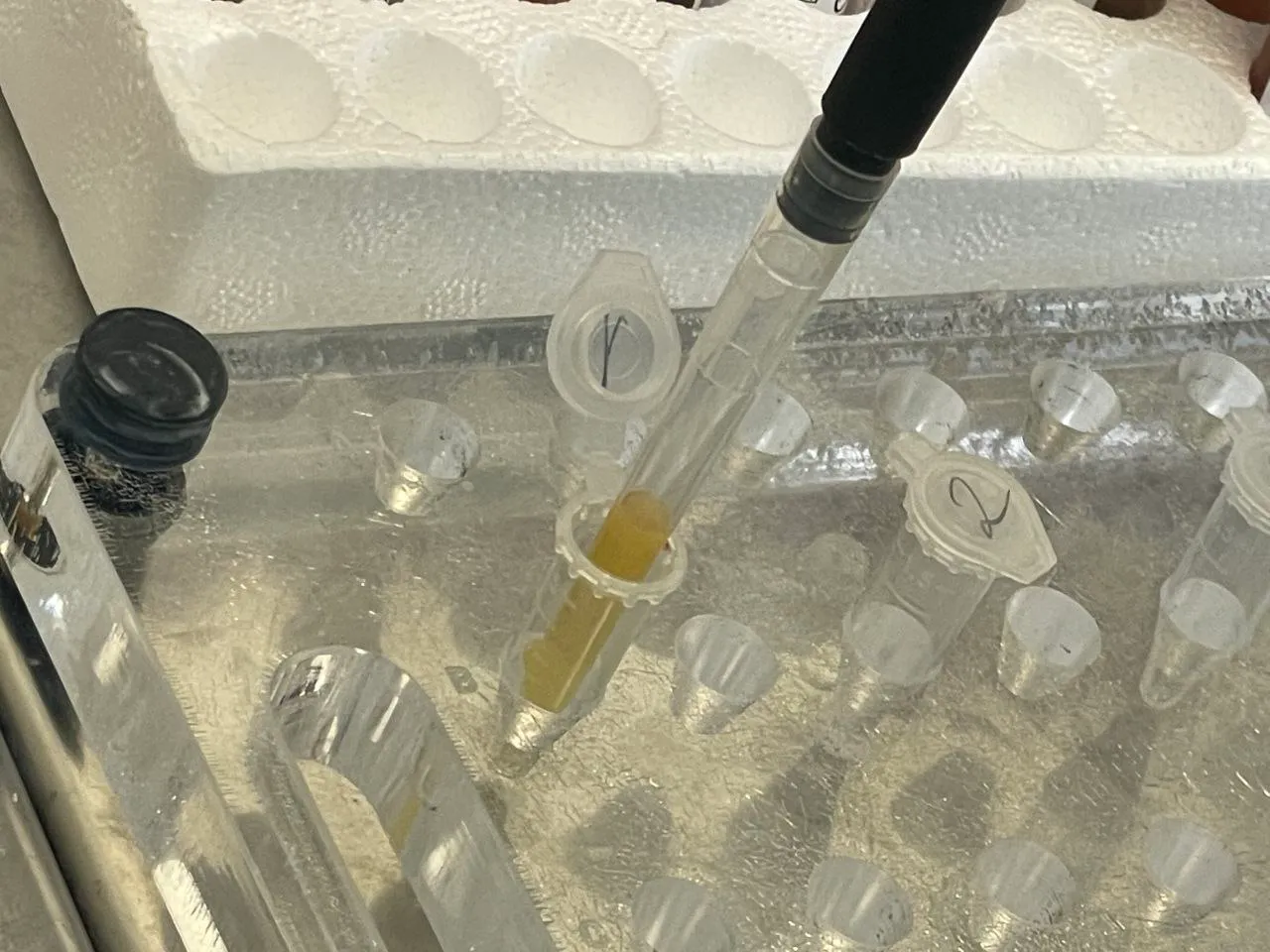 молекулярная служба в НИИ Лопаткина