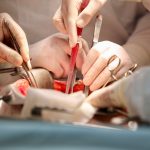 ptk9fyfx7xneqxqnbzun78bmiqoqs2k5vx jas5n9 sttw54veutneyvfoiii6x2rp1wu8jyp2rwcxatna3riouo