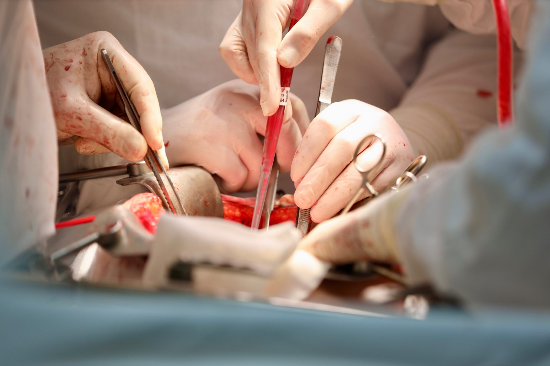 ptk9fyfx7xneqxqnbzun78bmiqoqs2k5vx jas5n9 sttw54veutneyvfoiii6x2rp1wu8jyp2rwcxatna3riouo