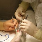 3 zivk9fo6hraks 0th0uz9rfc9fsudr2a3bzkqljicwwrxxurefho68696j2k2zkzvmrtz69dok3pzsntrnv ob