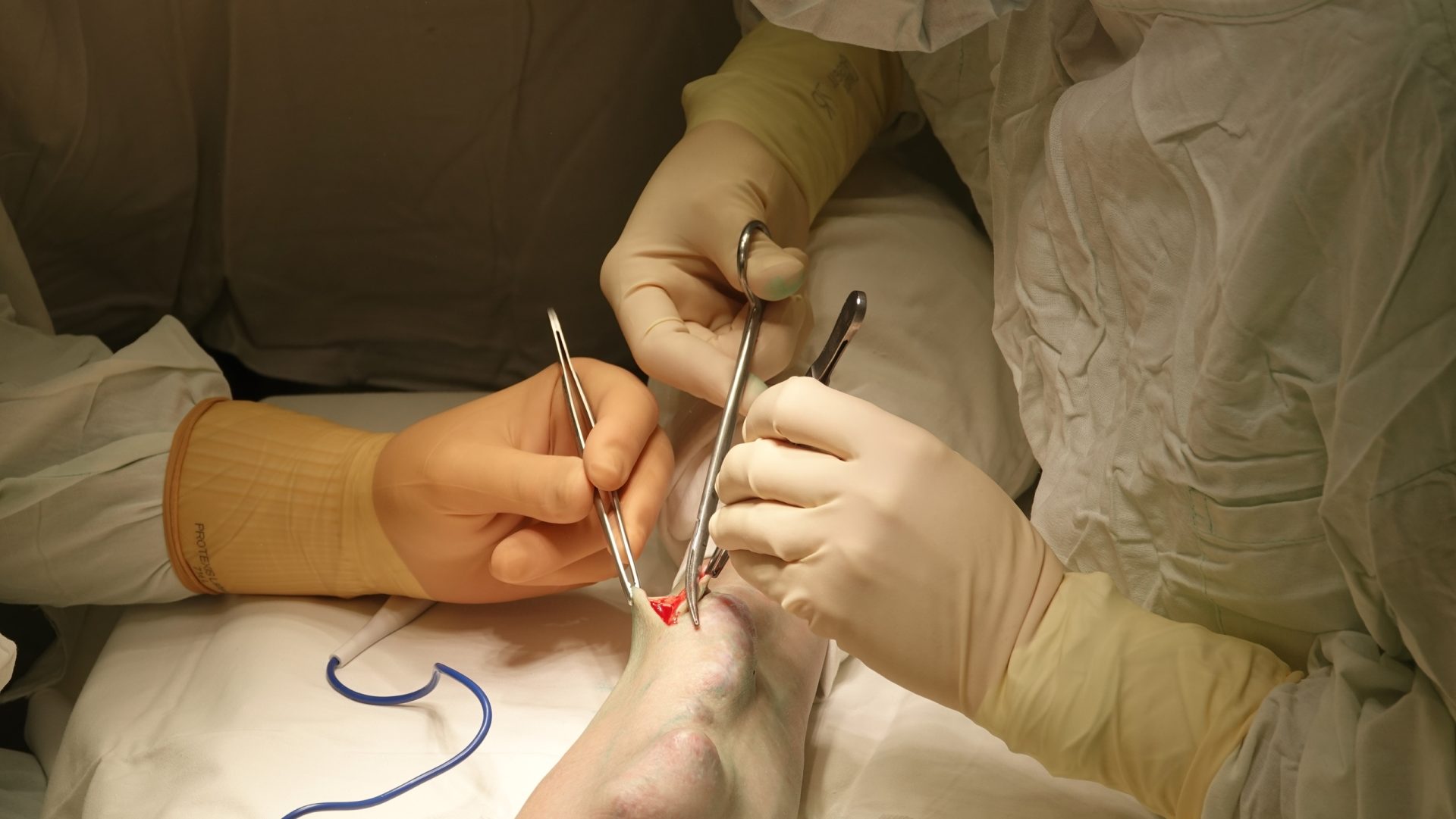 3 zivk9fo6hraks 0th0uz9rfc9fsudr2a3bzkqljicwwrxxurefho68696j2k2zkzvmrtz69dok3pzsntrnv ob